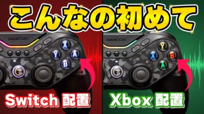 【レビュー】GameSir Tarantula Pro ボタン表記＆割り当てがくるっと回転！背面ボタンにもすごい機能が！便利すぎて神！